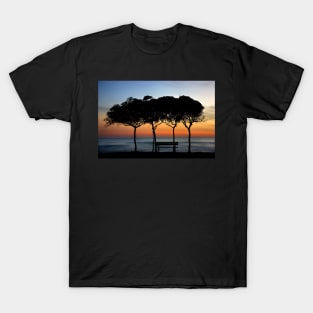 No one there to enjoy the sunset T-Shirt